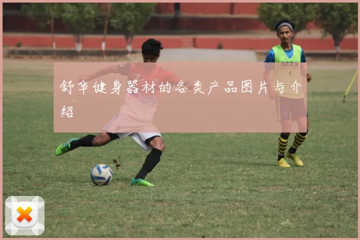 舒华健身器材的各类产品图片与介绍