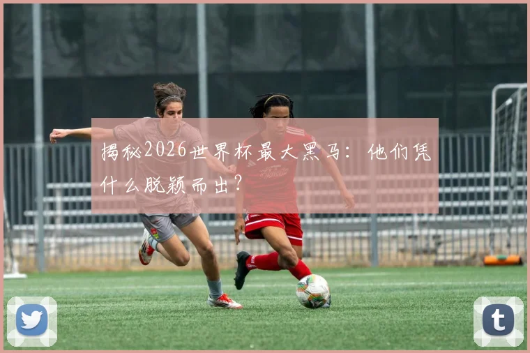 揭秘2026世界杯最大黑马：他们凭什么脱颖而出？