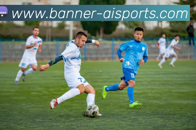 爱体育平台生态图